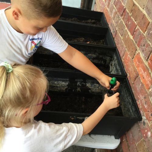 Seed Planting